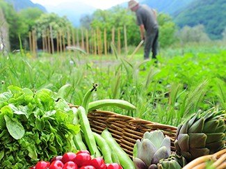 Calamité agricole reconnue