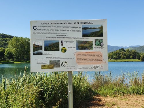 ANIMATIONS ESTIVALES DE LA BASE DE LOISIRS