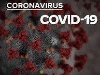 COVID-19 Attestation de déplacement dérogatoire et justificatif professionnel