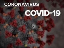 COVID-19 Les conseils municipaux pour les élections du maire et de ses adjoints sont, de droit, ajournés.