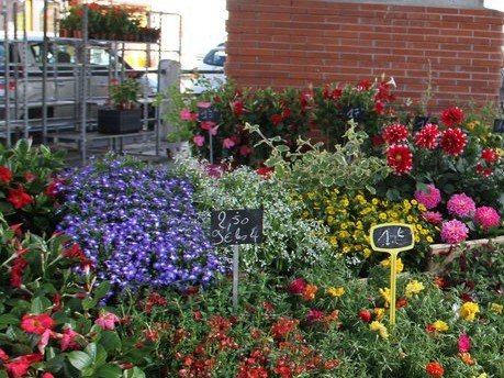 MARCHÉ AUX FLEURS ET AUX PLANTS