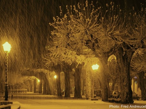 Bourrasque sur le boulevard
