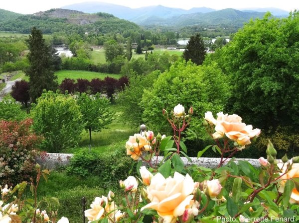 Fleurs et Pyrénées